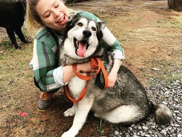 woman and husky mix