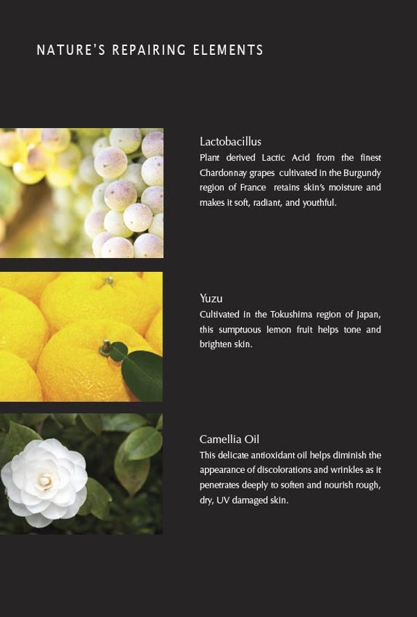 color photos of Yuzu Lemon and Camellia 
