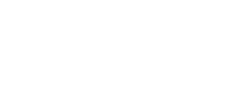 oneOone consulting