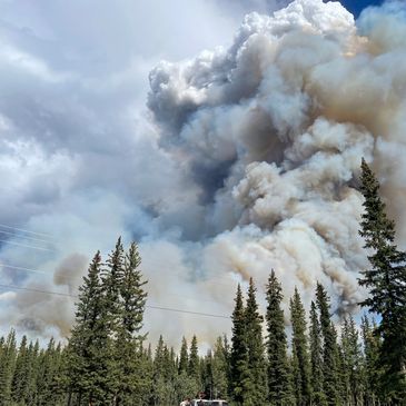 Thick smoke rising above forest trees during a wildfire.