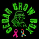 Cedar Grow Box