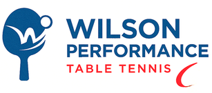 Wilson Performance Table Tennis