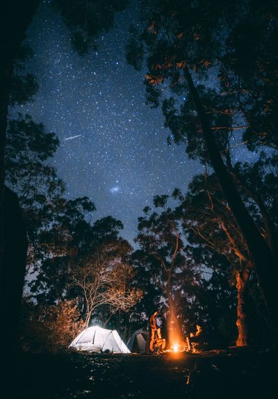Australian Nature Calendar showing the night sky as a seasonal marker