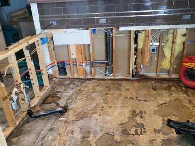 Kitchen renovation with exposed studs, plumbing, and floor removal underway.