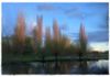 River Cam, Cambridgeshire (pastel, 7"x10")