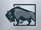 Woodbury Roofing by Noah Bergland from Bison Builders