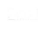 BriCel Holdings