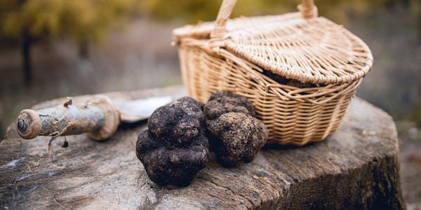 truffles next to basket 