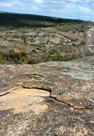 Walking towards the summit of the Rock, see organic shapes and beautiful subtle colours. 