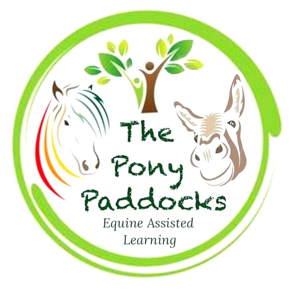 The Pony Paddocks