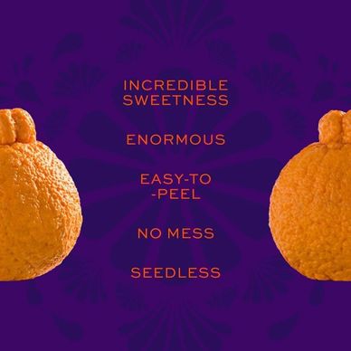 Sumo Orange = Tangerine + Navel Orange, 30 years in the making – A  Contemplative Compilation