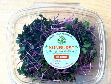 Red cabbage microgreens are vibrant, flavorful, and packed with nutrients! 