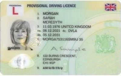 An image of a provisional licence 