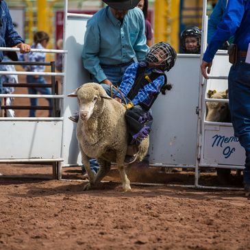 2025 Navajo County Fair and Rodeo