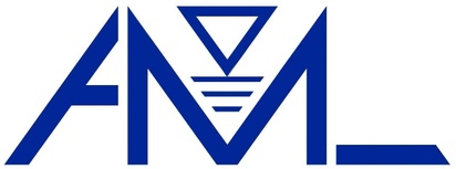 AML Engineering and Development Services