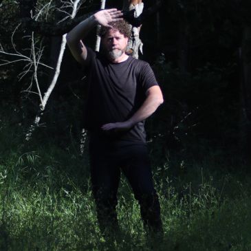 Man practicing Tai Chi or martial arts in a forest at night.