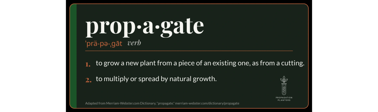 Dictionary entry: prop·a·gate (verb), ˈprä-pə-ˌgāt. 1. to grow a new plant from a piece of an existi