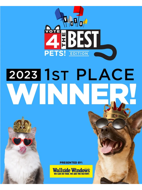 2023 First Place Winner Vote 4 the best Detroit Pet Grooming