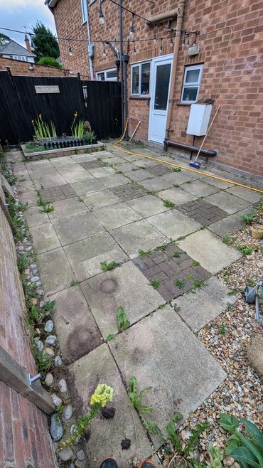 Overgrown backyard with paving stones and scattered weeds.
