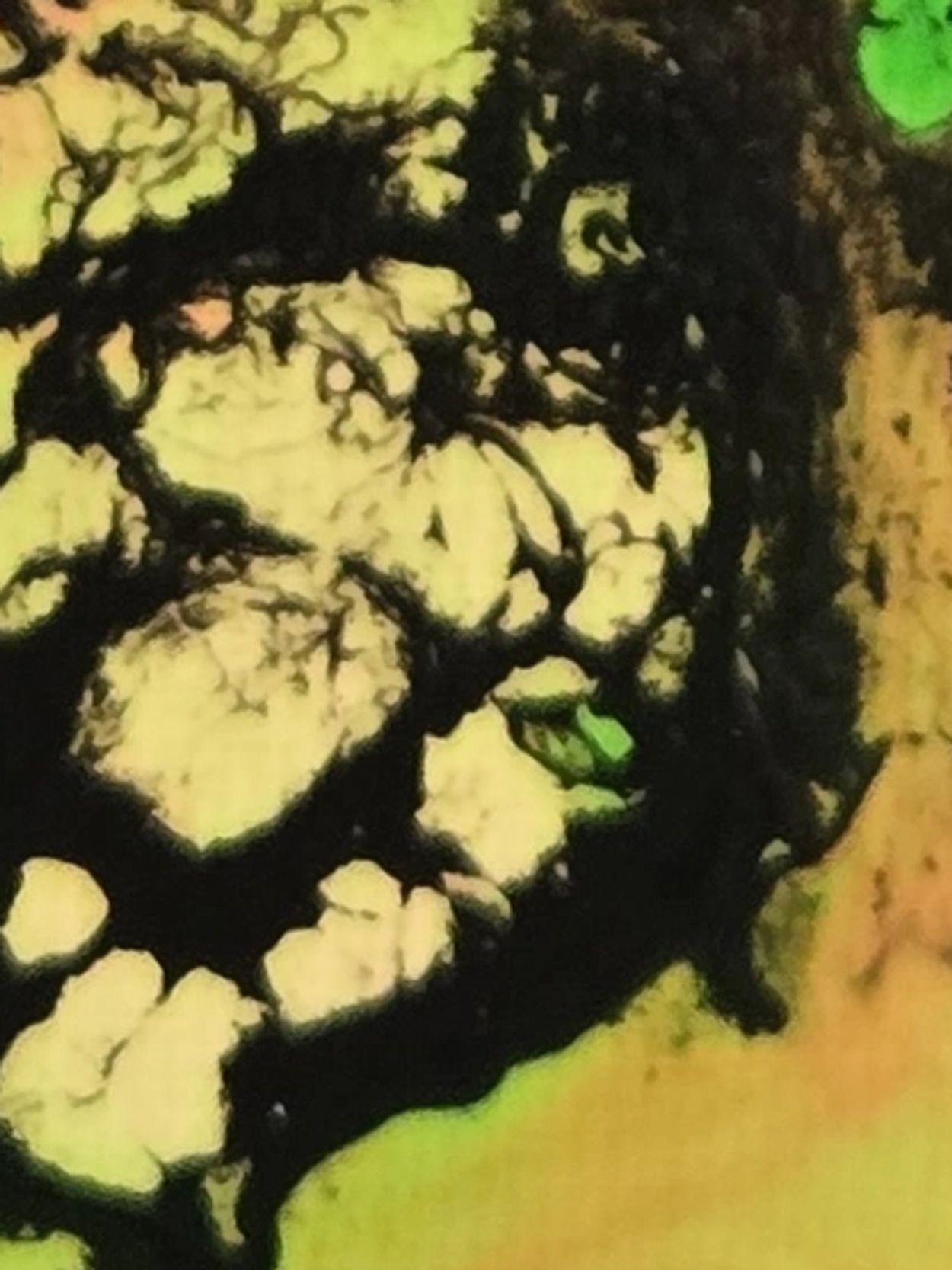 Close-up of textured yellow and black abstract pattern with hints of green.