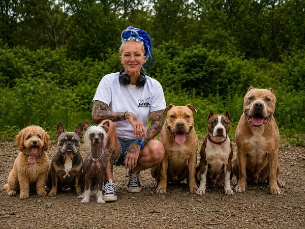 A woman with blue hair and six dogs sitting outdoors in a row.