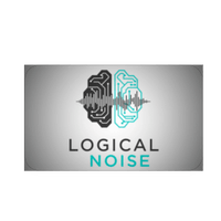 Logical Noise