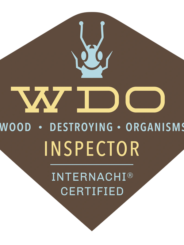 termite inspection south florida,
wdo inspection, termite inspection cost, termite inspection

