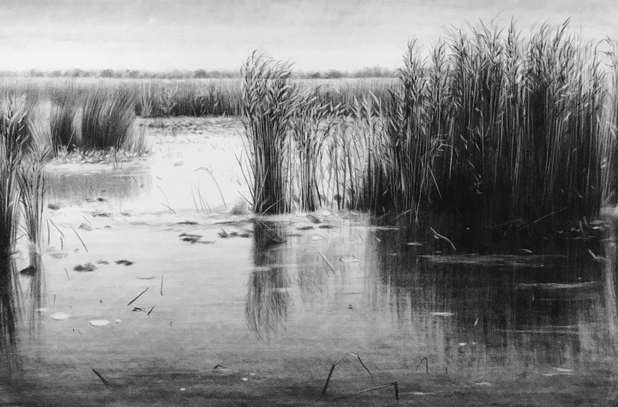 Contemporary art drawing of the Natural Environment