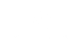 Valor Ridge Group Consulting
