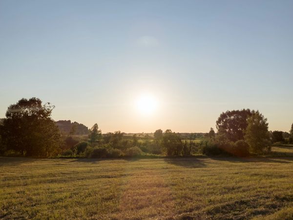 Sun setting over a grassy field with trees.