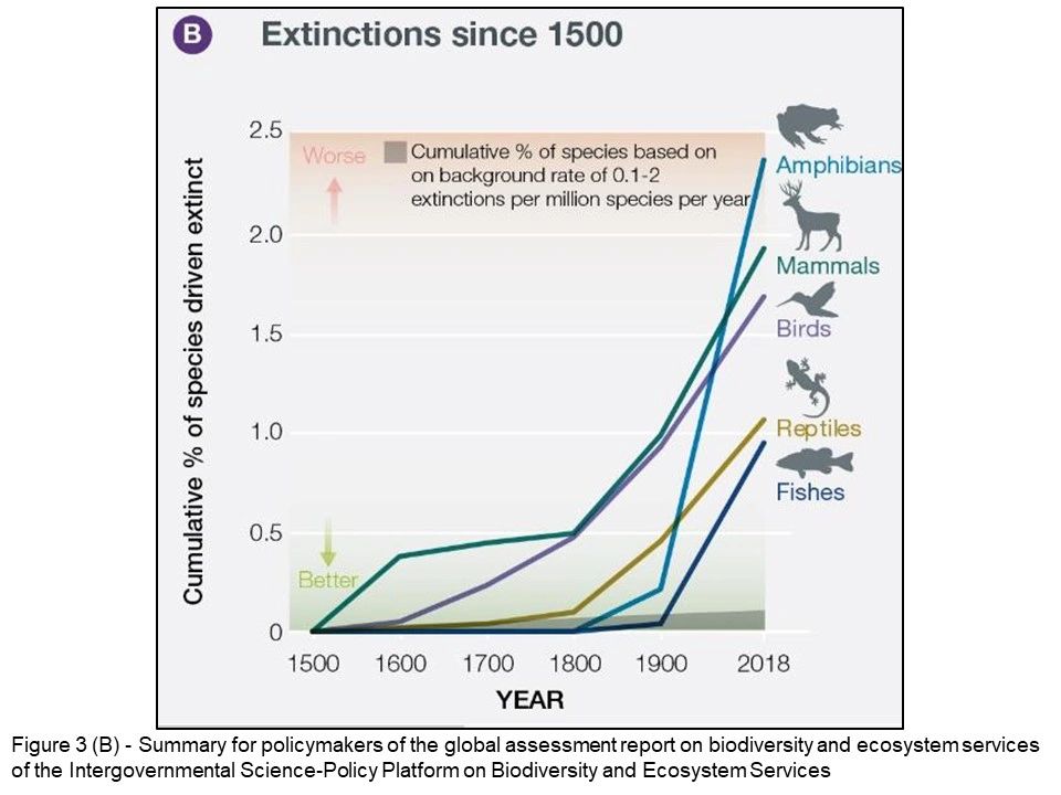 Figure 1 - IPBES graph of Cumulative % of extinct species by century