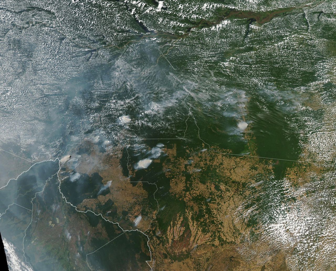 As of August 16, 2019, an analysis of NASA satellite data indicated that total fire activity across the Amazon basin this year has been close to the average in comparison to the past 15 years. 