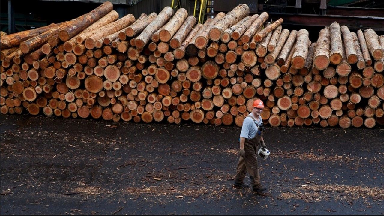 Stimson Lumber Stimson Lumber