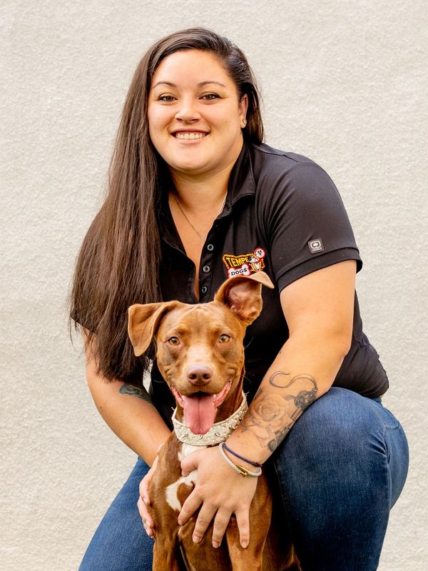 Sadie in dog daycare and dog boarding at Tempe Dogs in Tempe Arizona.