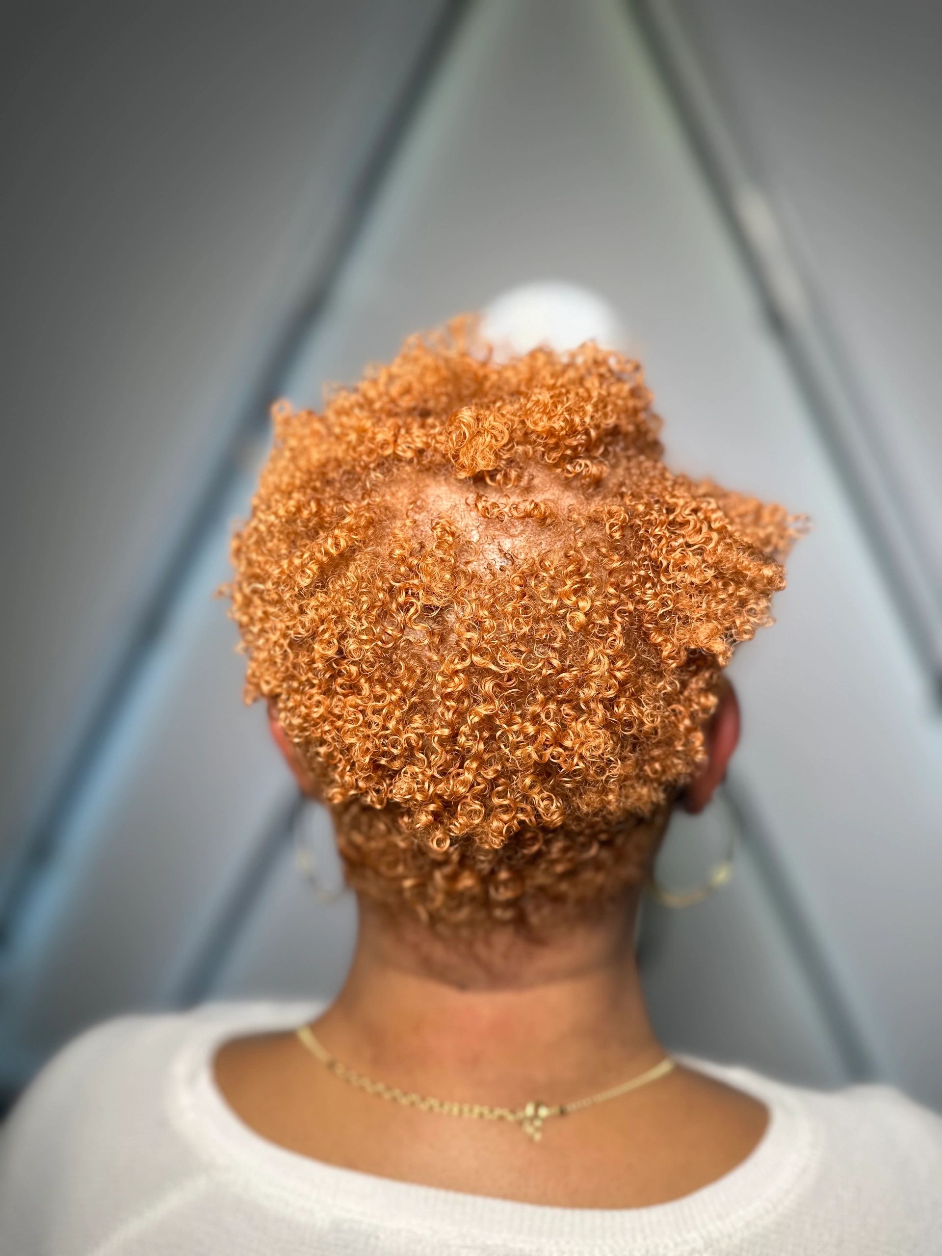 Express Color — Our S.P.A.C.E. Studios