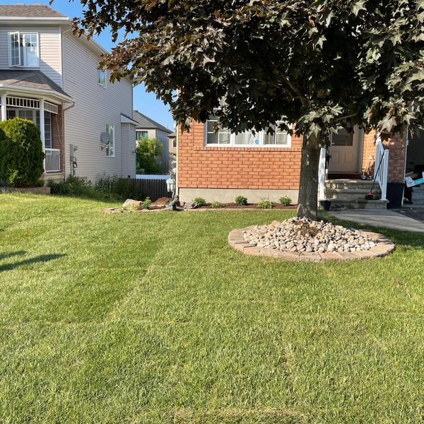 Sod installation 