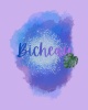 Bicheau
