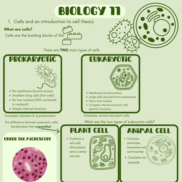 Biology 11 concept cells and an introduction to cell theory and the types of cells
