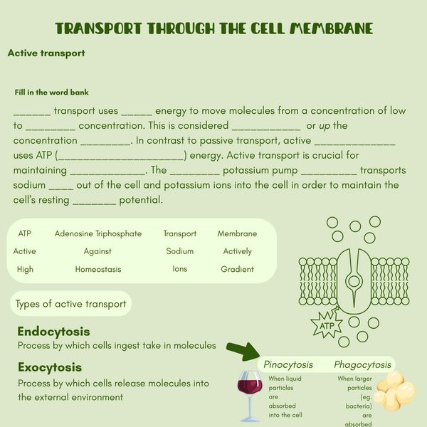 Biology 11 concept transport across the cell membrane active transport fill in the word bank