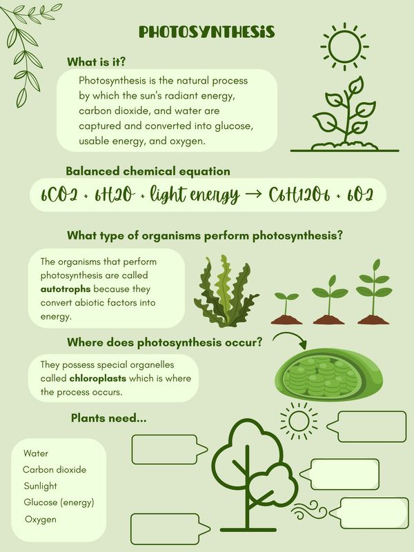 Biology 11 Concept (Photosynthesis) and balanced chemical equation study notes and fill in the blankt