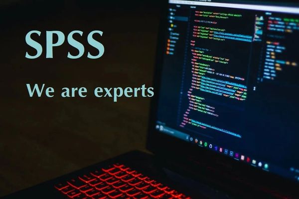 รับวิเคราะห์SPSS  รับทำวิจัยSPSS รับวิเคราะห์แบบสอบถามSPSS  รับทำSPSS รับ ทำ SPSS  รับวิเคราะห์ SPSS