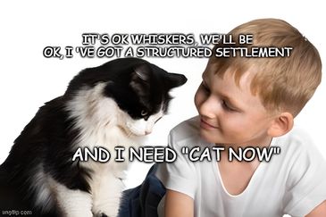 Boy and cat with humorous text about needing a cat now, not cash, despite structured settlement.