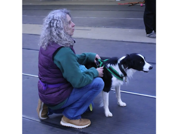 A woman kneels beside a black and white dog on a leash indoors.