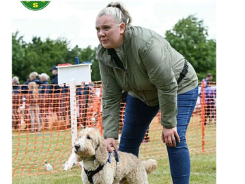Woman preparing her dog for a race at an outdoor event.