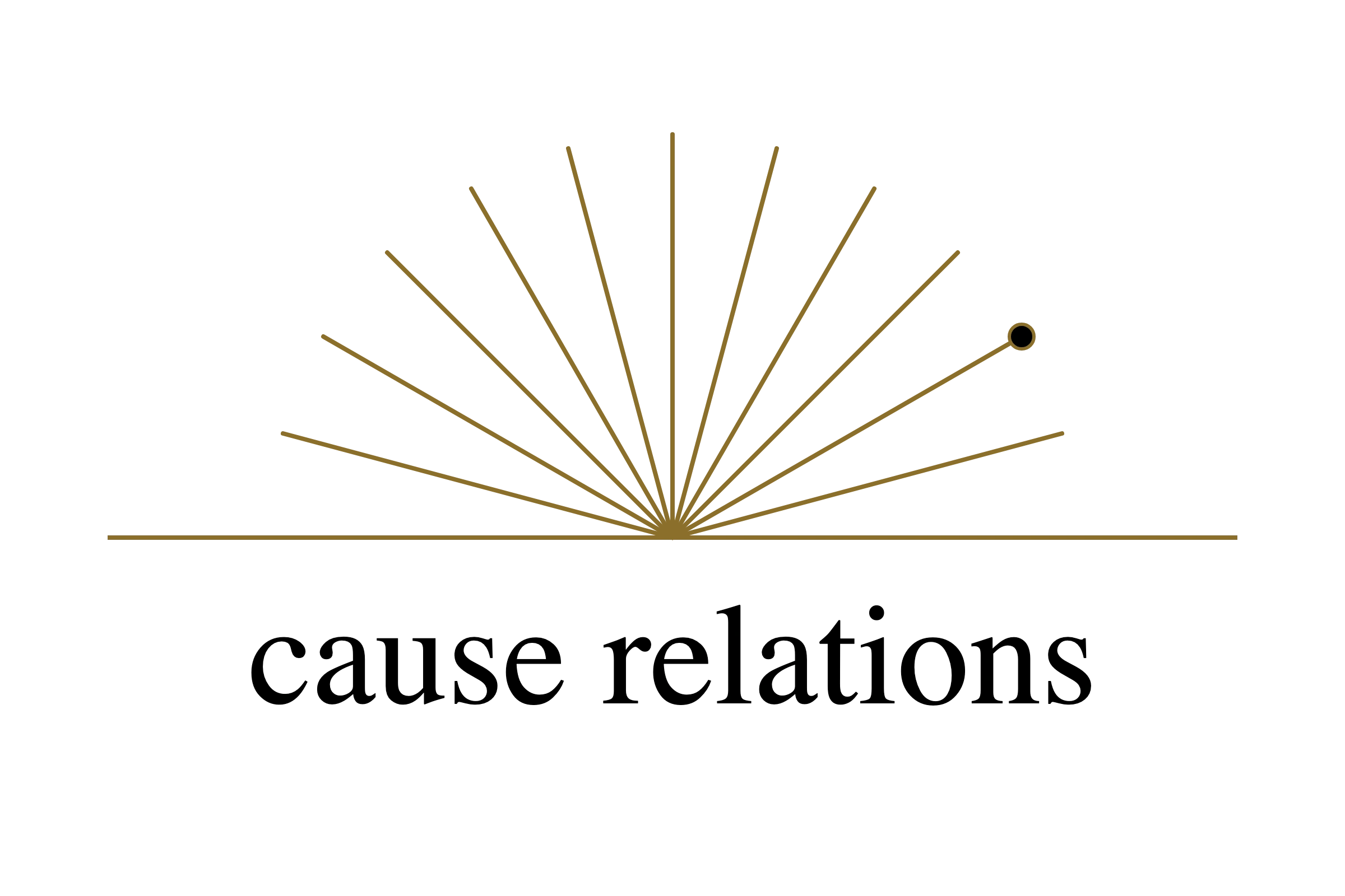 Cause Relations public relations