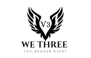 V3 Group