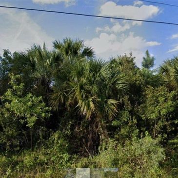 Nice, well located vacant land lot for sale. 10,000 square feet (80' x 125' = .23 acre) in the devel