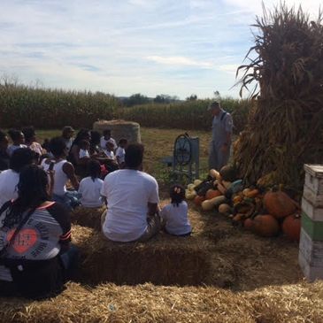 school tour farm