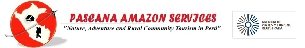 Pascana Amazon Services