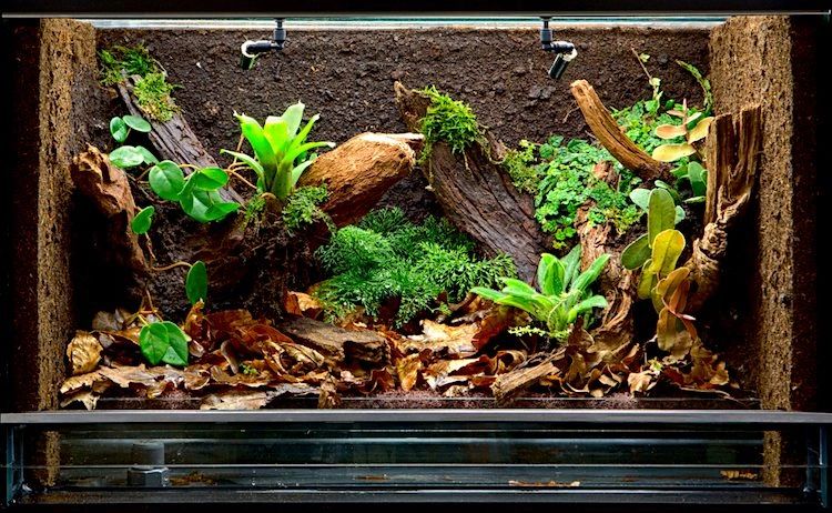 floor hanging plant stand Metal Hanging Plant Stand with Hook Adjustable Height – RusticReach main image 1